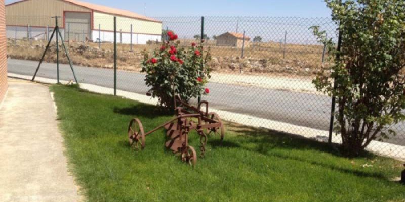 Elemento decorativo de la zona ajardinada del centro